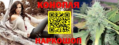 винт Ачхой-Мартан