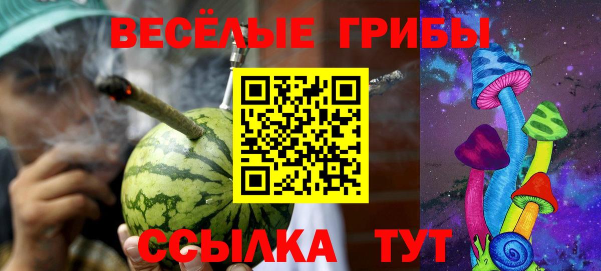 Псилоцибиновые грибы Кострома
