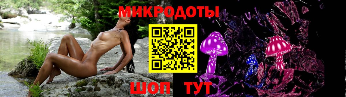 Кострома  Галлюциногенные грибы мицелий  Вход с VPN  Галлюциногенные грибы Psilocybe 