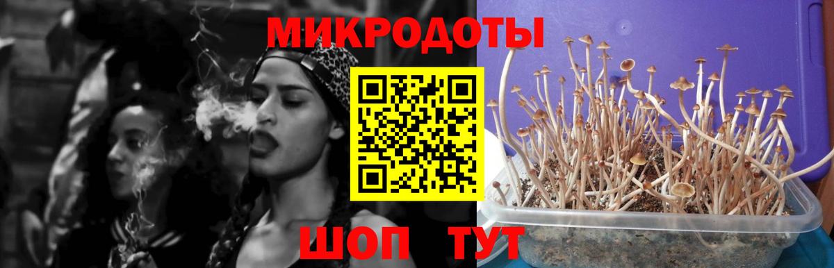 Псилоцибиновые грибы ЛСД Кострома